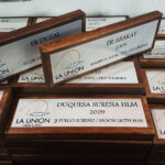 Placa de Reconocimiento, Recordatoria o profesional - Imagen 8