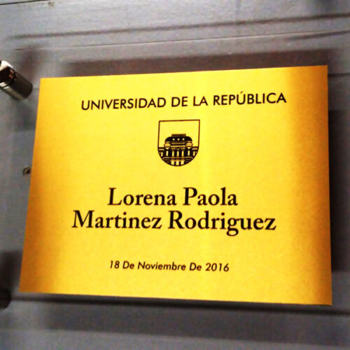 placa de reconocimiento placa en acrilico y bronce