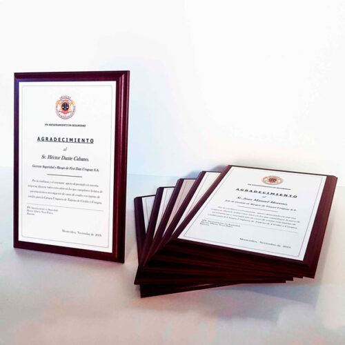 Placa de reconocimiento Placa conmemorativa