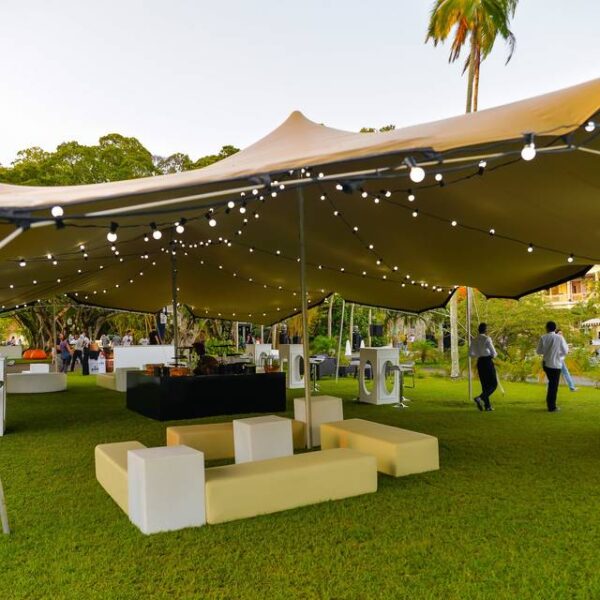 categoria de articulos para eventos
